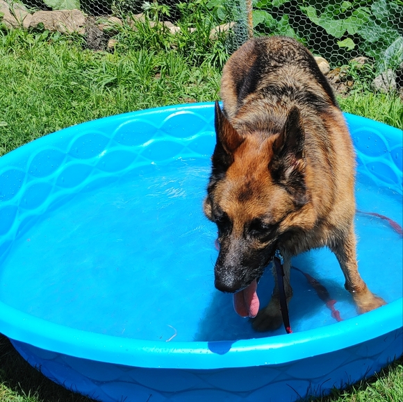 Meet your Posher, Laura - Picture 10 of 10